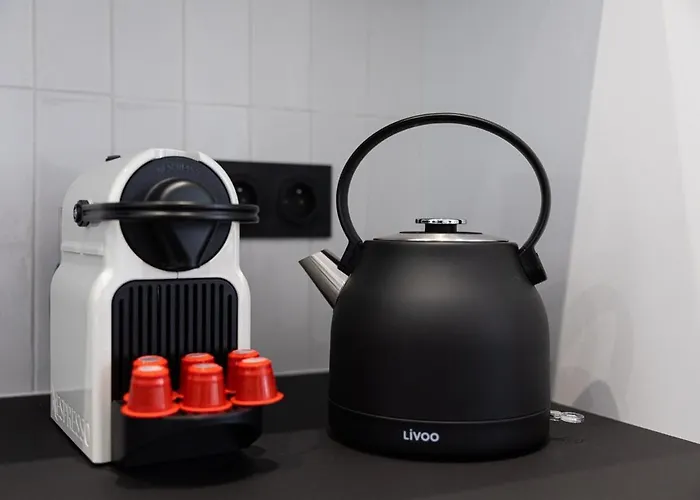 Spacieux & Lumineux Garibaldi ניס